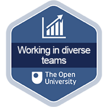 diverse teams